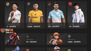 Kho sảnh cược đồ sộ tại Thể Thao SV88